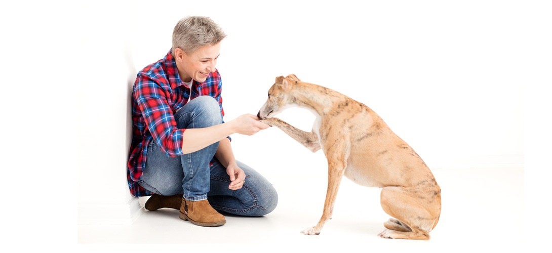 rabea arps hypnose 1090x500